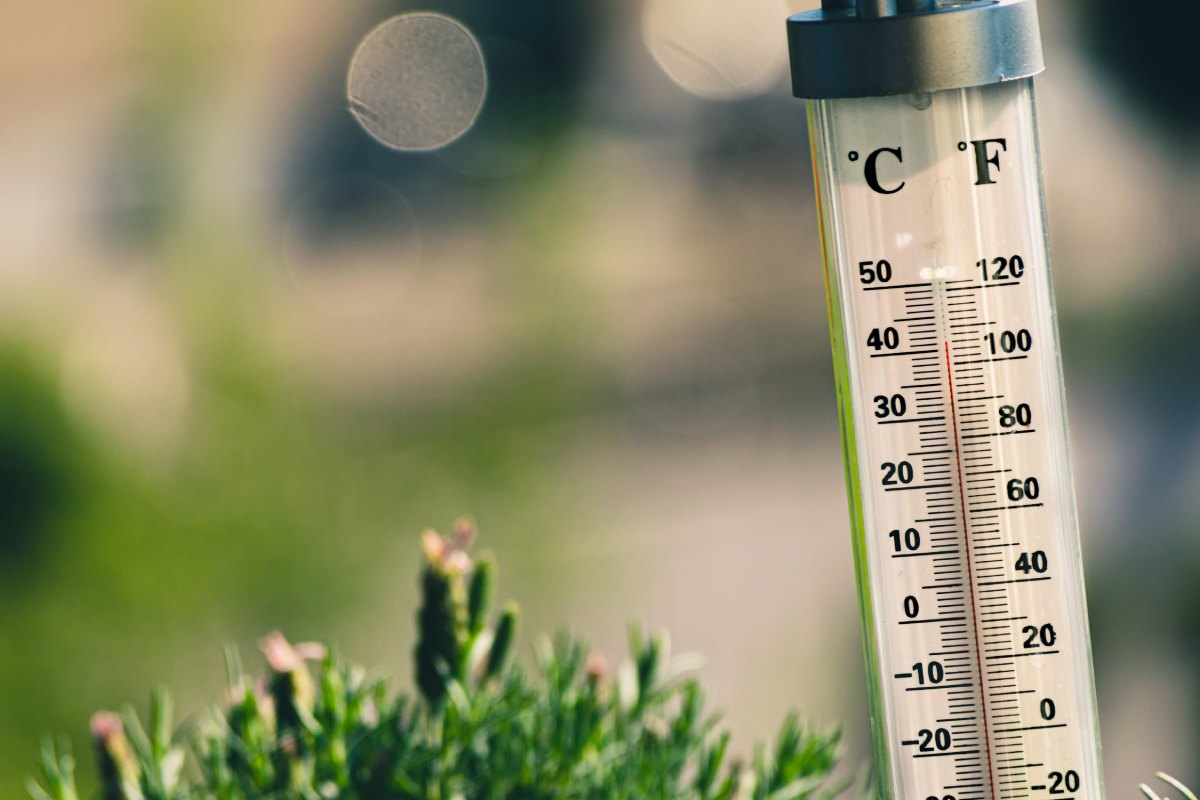 Pouring Concrete in Hot Weather Featured Image