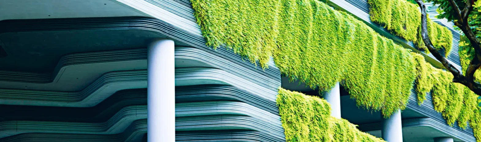 Quality Supplier Image